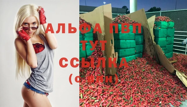 амф Баксан