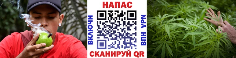 Каннабис планчик  Вуктыл 
